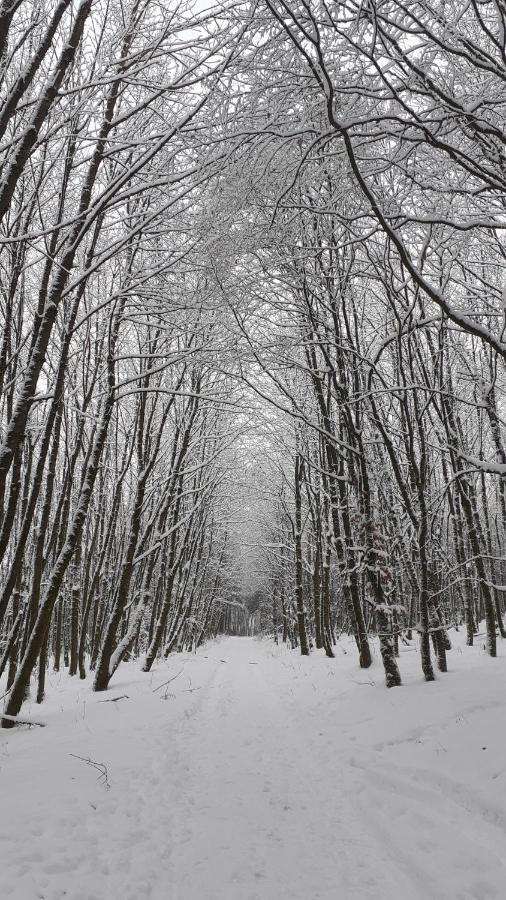 Ferienwohnung Mia Winterberg Bilik gambar